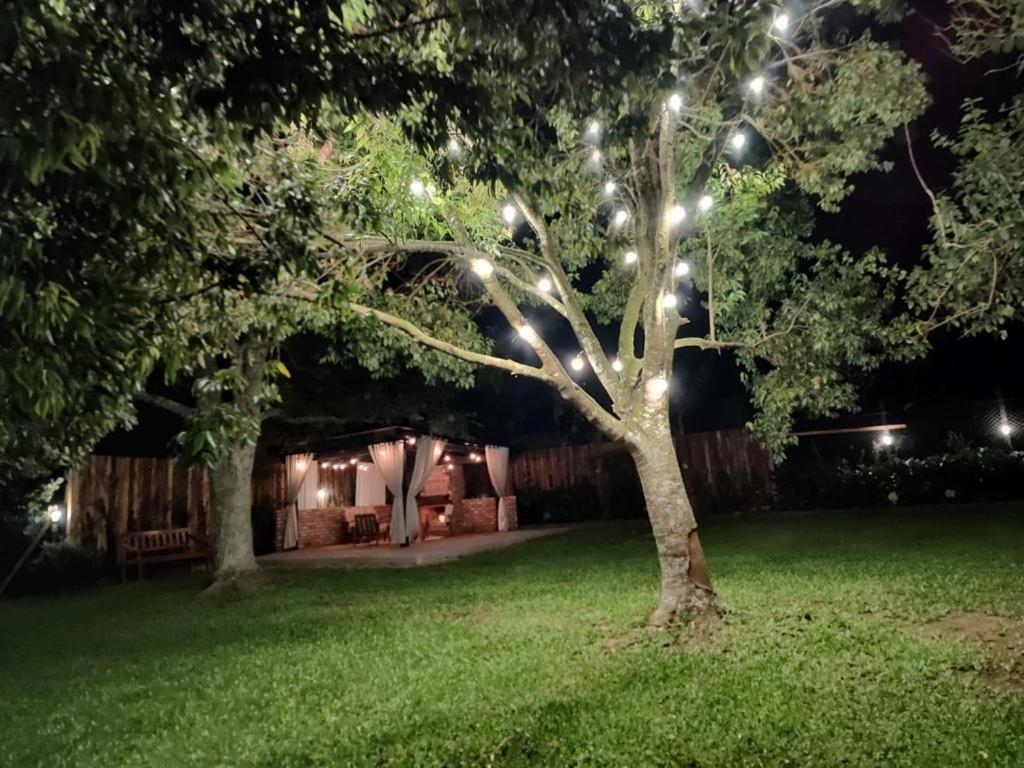 Pousada Do Salto Ventoso / Serra Gaucha Casa 1 Farroupilha Eksteriør bilde